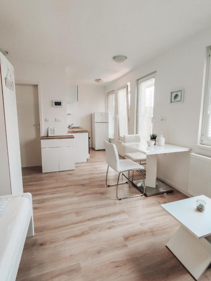 Studio Apartment Sanya Любляна Екстериор снимка